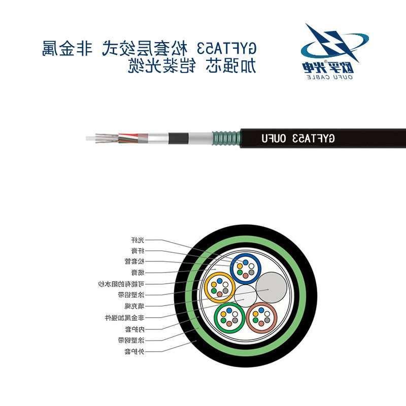 杭州市GYFTA53光缆